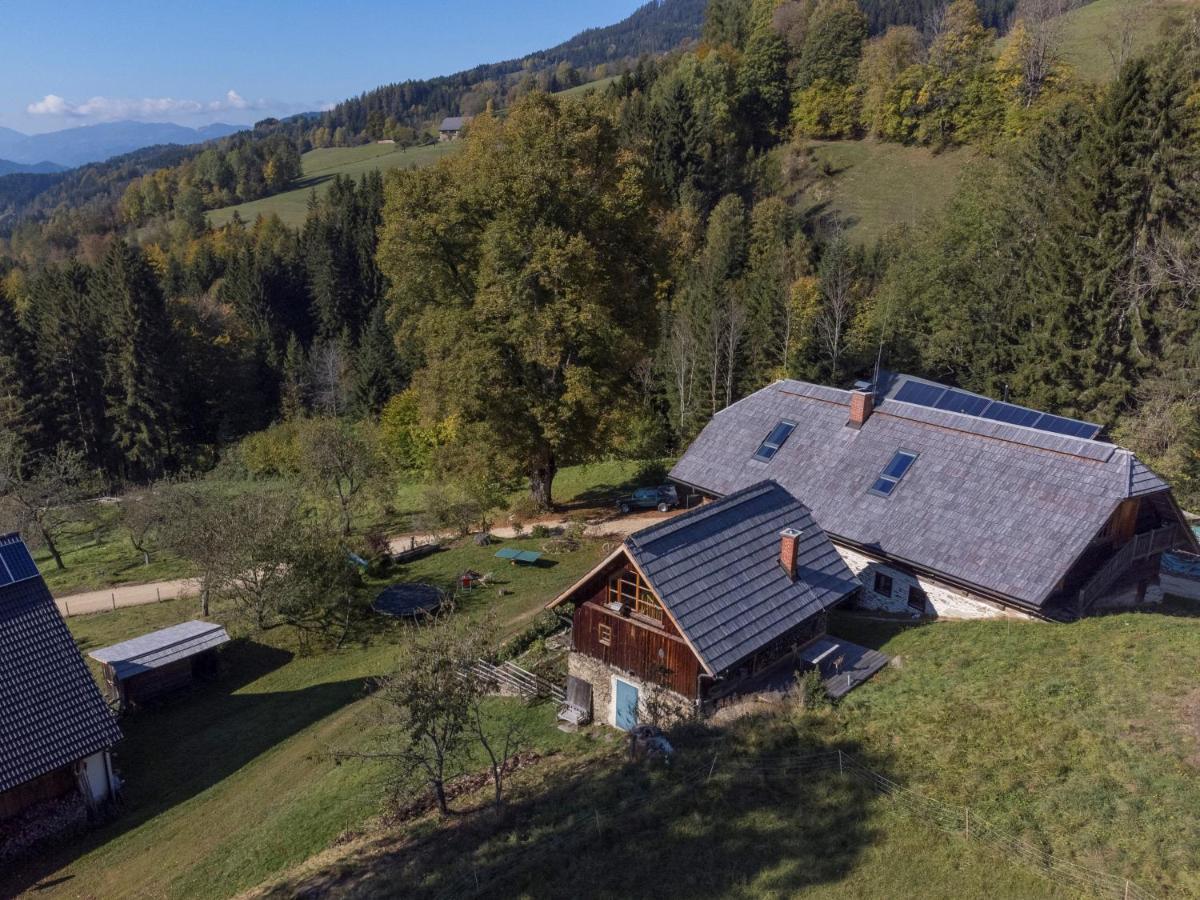 Charmante Gaestewohnung In Altem Bauernhaus In Alpiner Alleinlage Stanz Im Murztal 외부 사진